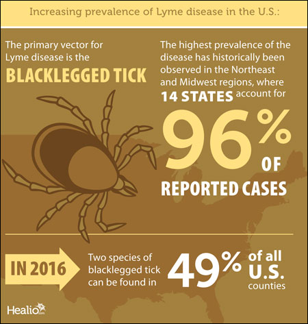 Lyme disease graphic