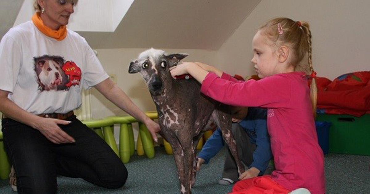 Dog helping with speech therapy